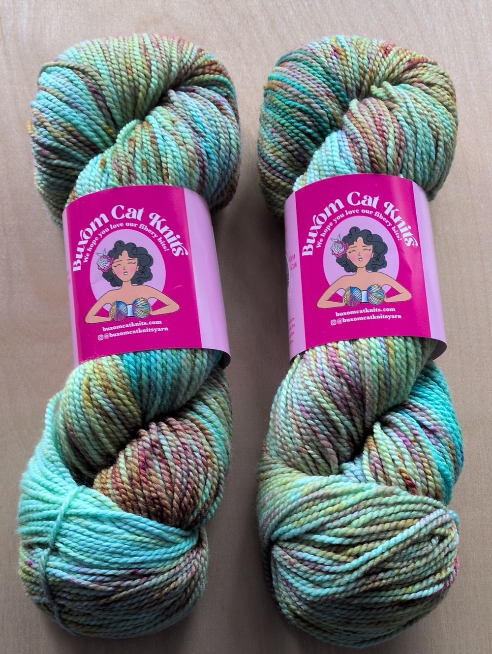 Buxom Cat Knits Lot - 2  Skeins  Hand-Dyed Yarn - DK - Luxury Merino And Silk